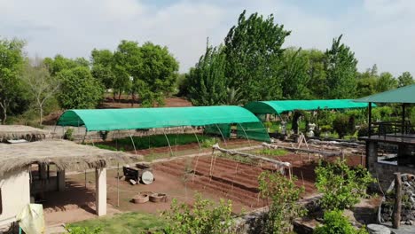 Aerial-Low-Flying-View-Of-Allotments-On-Farmland