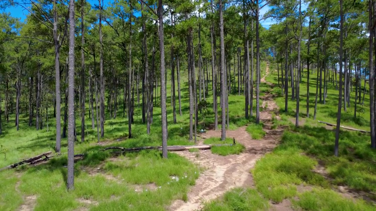 Vista aerea sopra la Cambogia, alta foresta di pini nel Parco Nazionale di Kirirom nel paesaggio naturale del Sud-est asiatico
