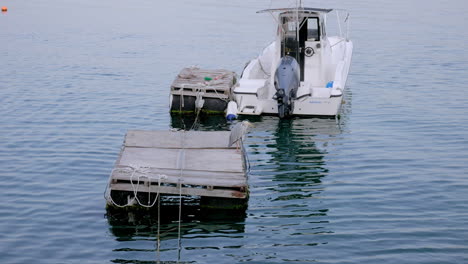 Reiher-über-Dem-Meer.-Japan