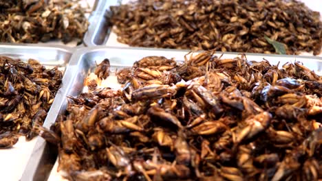 se exhiben variedades de insectos, insectos y grillos comestibles cocidos o fritos para que los turistas los compren