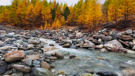 Glacial-water-glacier-river-melt-Swiss-alps-colorful-yellow-autumn-fall-Lark-tree-woods-Saas-Fee-Zermatt-Saastal-alpine-valley-Switzerland-dramatic-foggy-moody-gray-mist-rainy-day-slow-pan-up-reveal