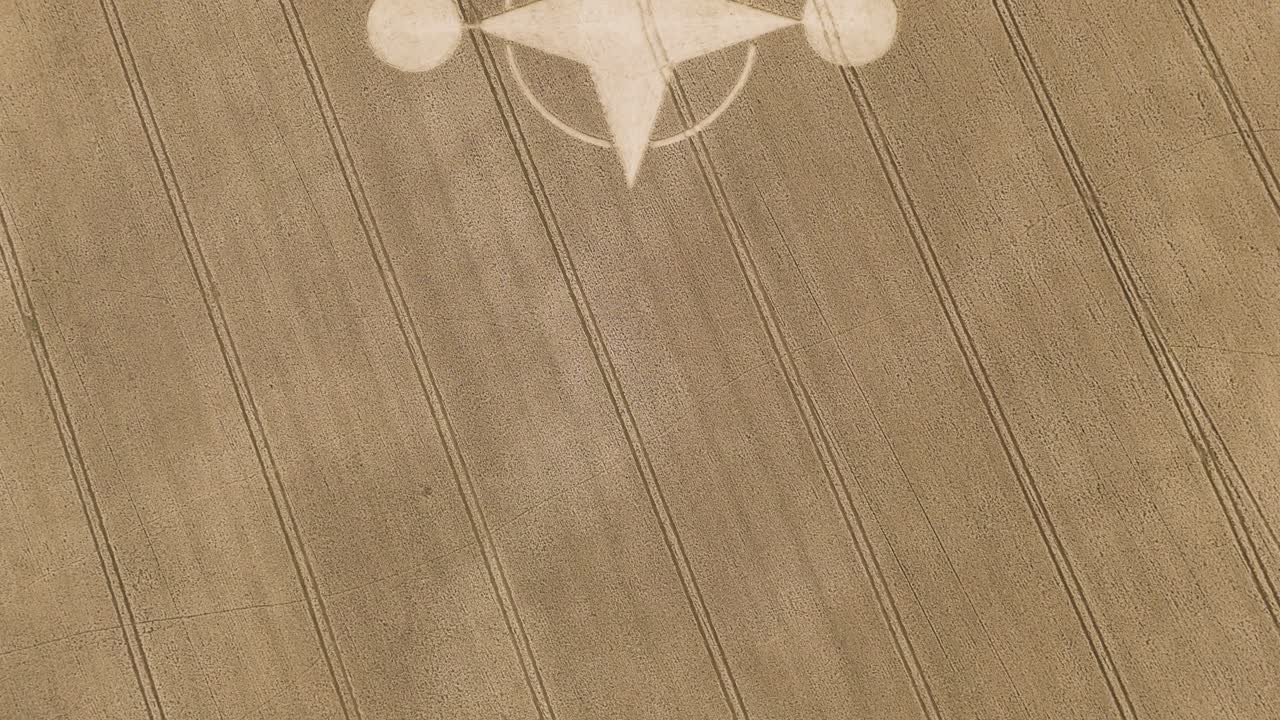 잉글랜드 햄프셔 주 의 건조 한 농장 들 의 작물 원 의 위 에서 아래 로의 공중 사진