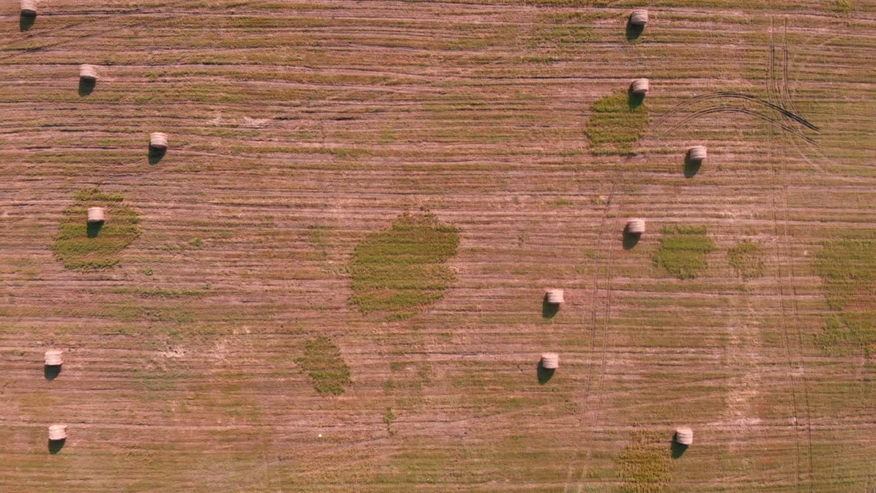 Haystack with hay on field. Agriculture meadow with rolled hay of wheat. Rural wild nature. Farm land. Agricultural concept