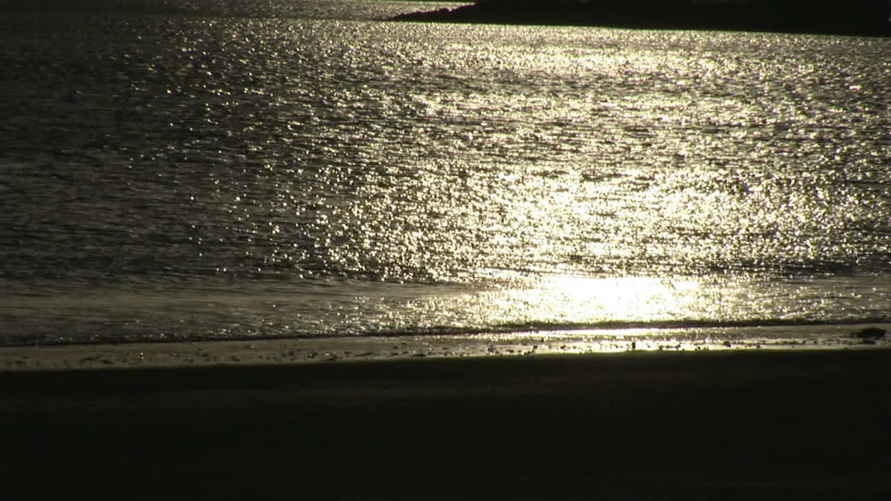 películas de la playa