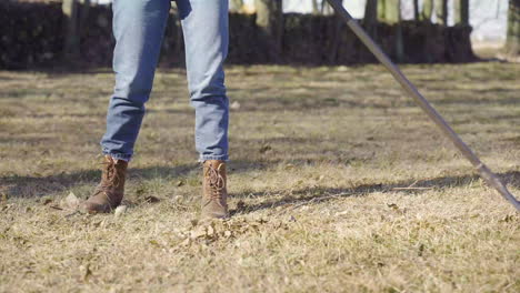 caucasian woman removing weeds with a rake in the field. her dog walks around her