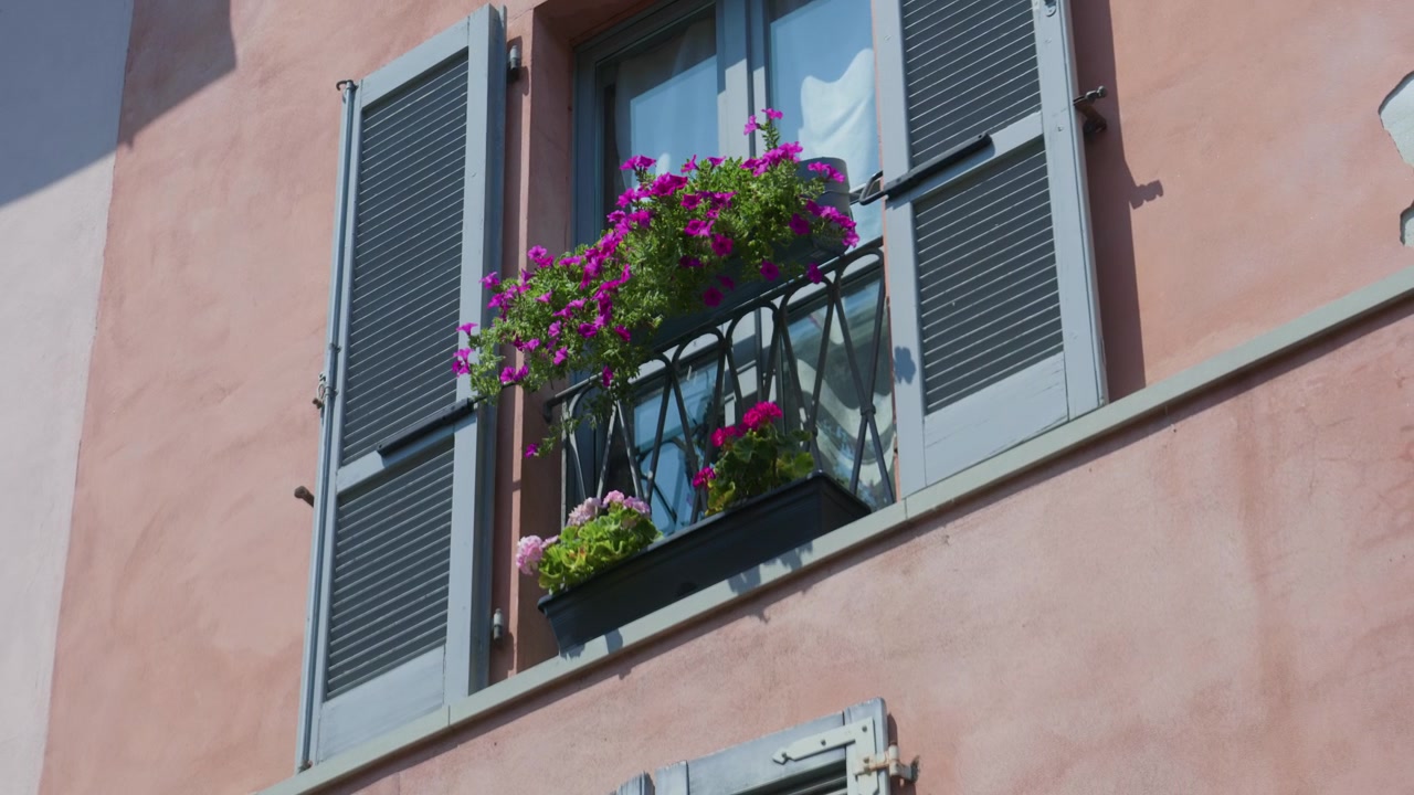 Facciata di un edificio con balcone e fiori alle finestre, petunie viola in fiore e persiane grigie in una soleggiata giornata estiva. Dettaglio architettonico di una storica casa a schiera europea, ripresa panoramica a mano da sinistra a destra.