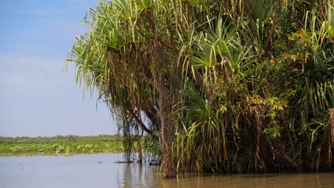 tranquil kakadu wetlands