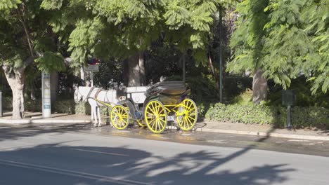 Horse-Pulled-Wagon-Cart-for-Tourists-on-Streets-of-Malaga,-Spain
