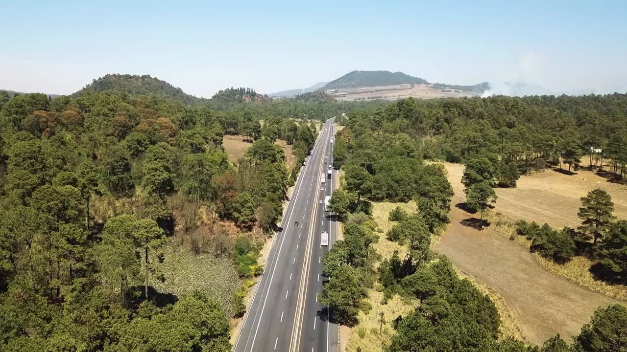 숲과 나무와 풀이 있는 도로, 이 좋은 날 지나가는 자동차