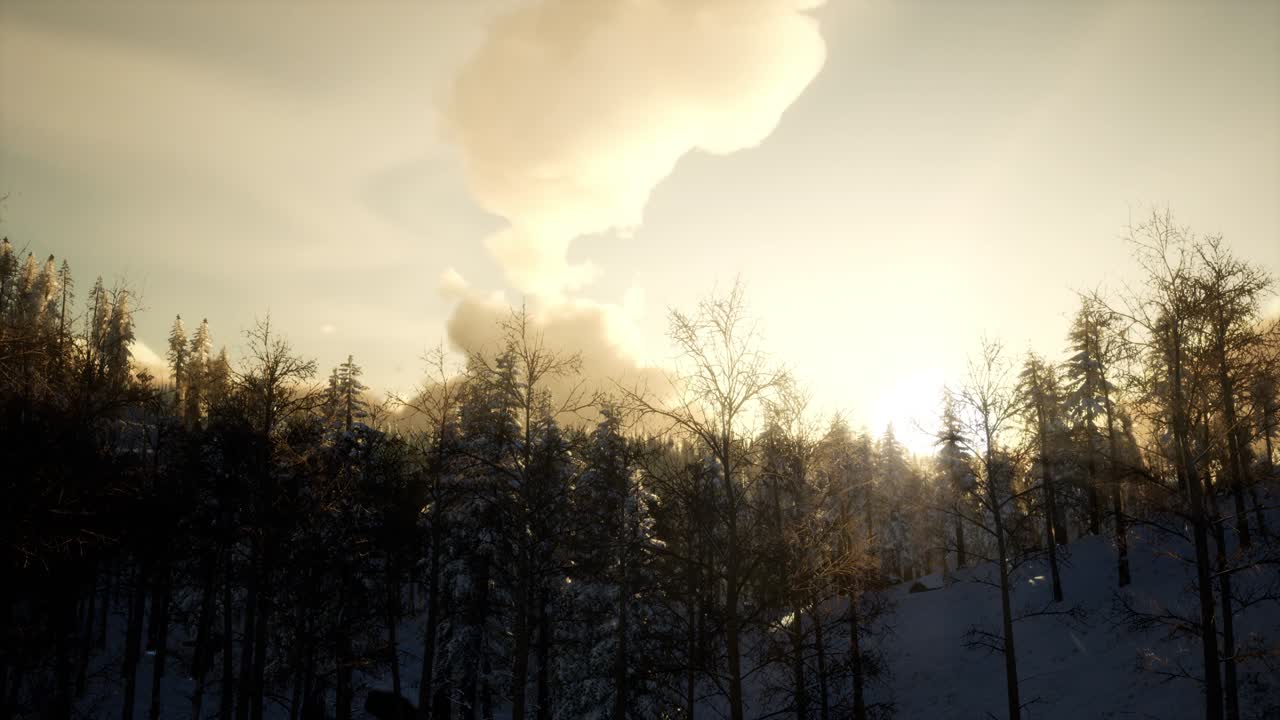 ⁇ 빛에 빛나는 웅장한 겨울 풍경