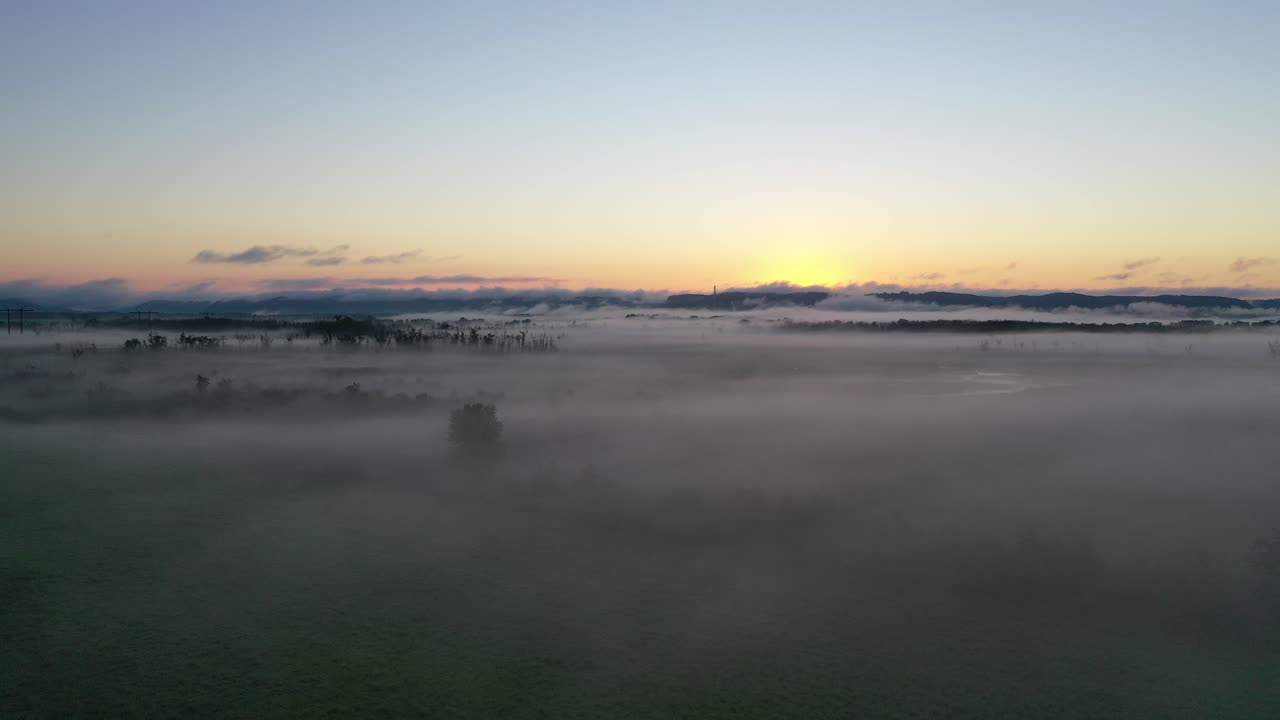 습지 위 의 안개 가 가득 한 해가 뜨는 것