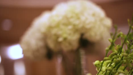 ramo de hortensia blanca
