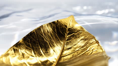 golden leaf on rippling water