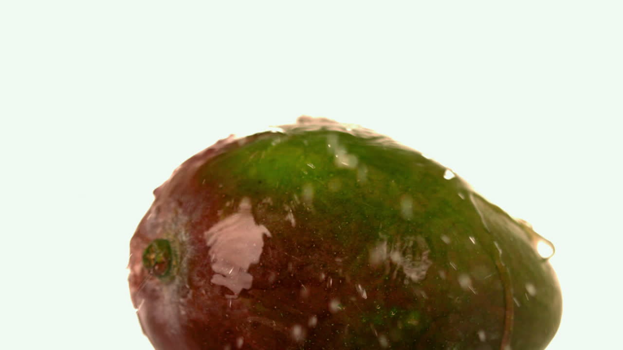 망고 에 물 이 떨어지는 것