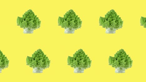 2 lines of fresh and green romanesco broccoli close-up rotating above a yellow background, stop motion animation. seamless looping of realistic 3d food