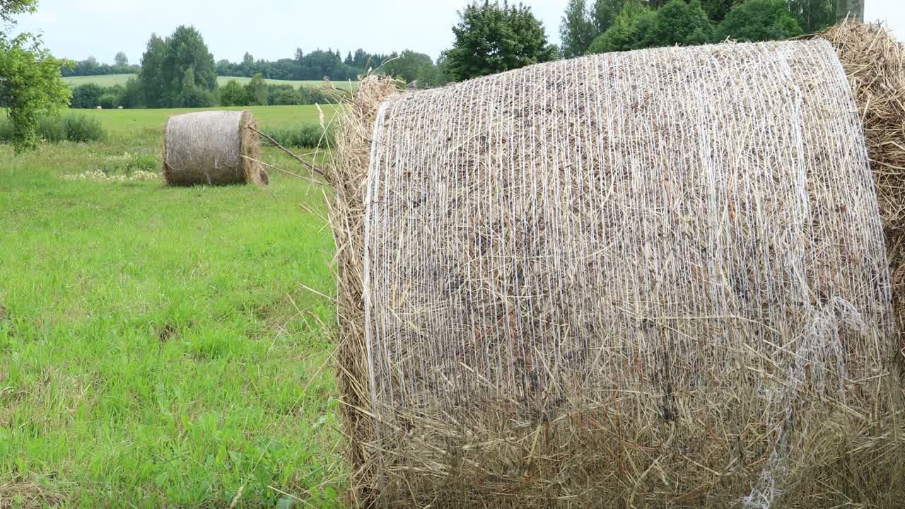 hierba seca en rollo de heno