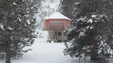 static ground shot of a stilted snowy cabin surrounded by trees in a snowy mountain forest in andorra.
