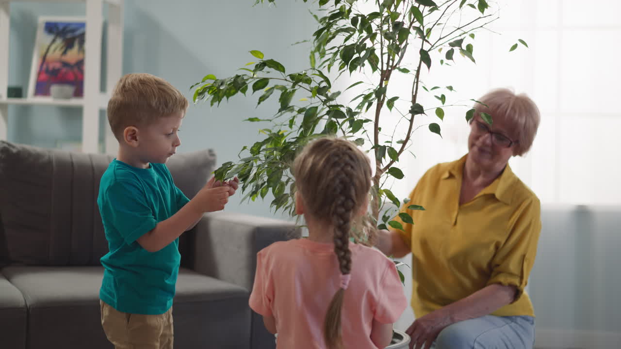 Grandmother and granddaughter take care of house plant