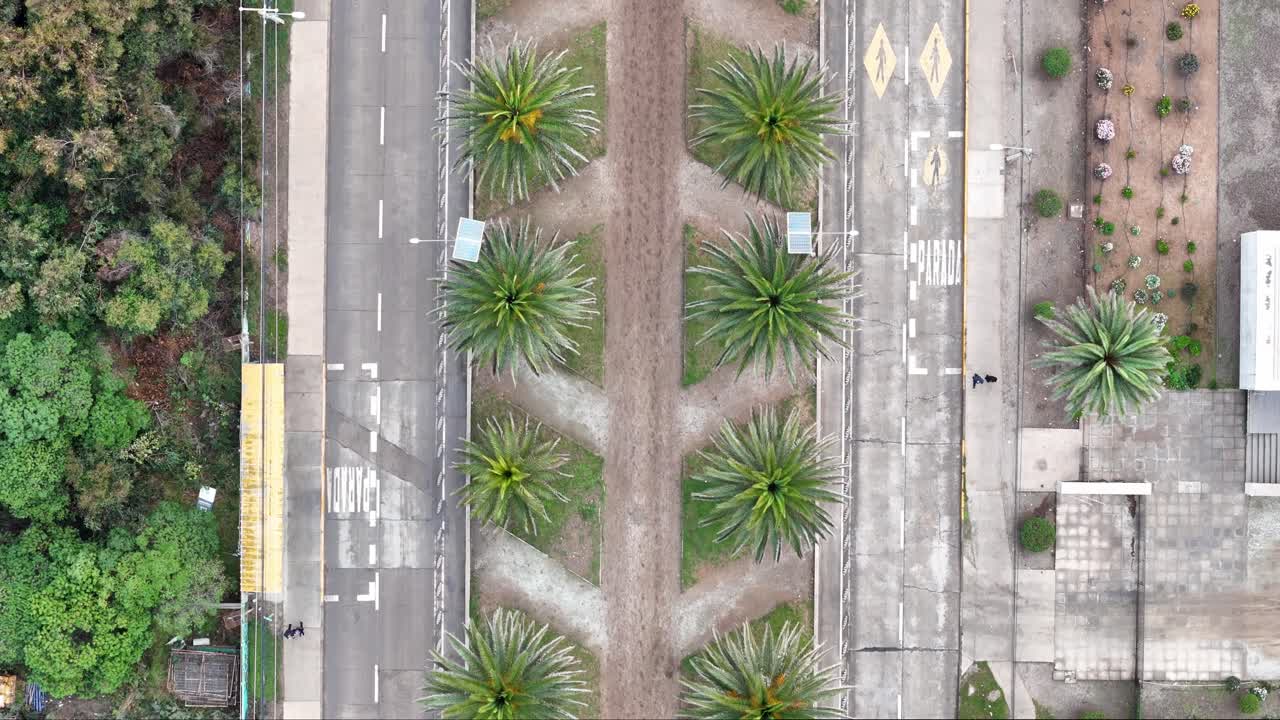 라 세레나의 메인 애비뉴 (la serena main avenue) 는 칠레의 la serena lighthouse (라 세레나 등대) 로 가는 길이다.