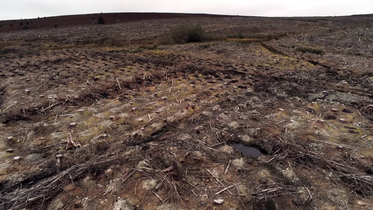 лесное хозяйство лесозаготовка вырубка леса воздушный толчок вид сверху разрушенный лес