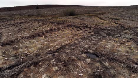 la silvicultura tala de madera cosecha deforestación empuje aéreo en vista por encima de bosques destruidos