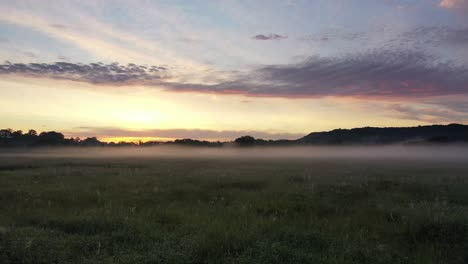 sunrise foggy field