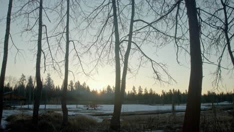 Sunrise-through-silhouetted-trees-over-farmland-ranch