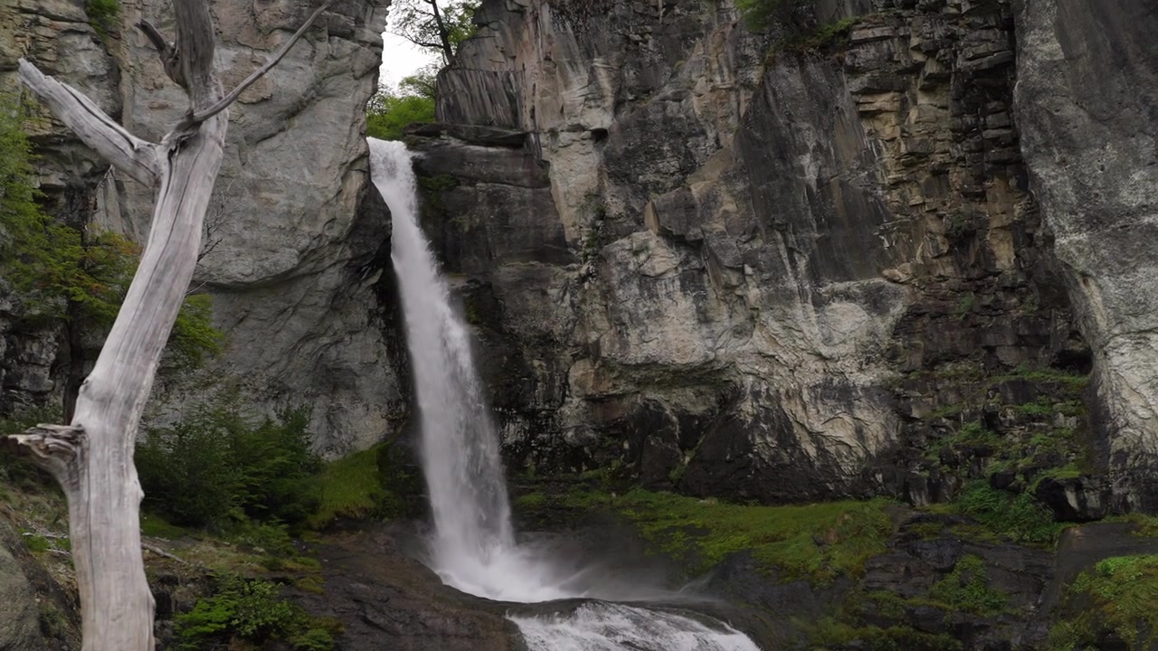 Chorrillo del Salto-fossen nær El Chaltén, Santa Cruz-provinsen, Patagonia, Argentina, matet av brevann fra Fitz Roy-regionen og som faller ned gjennom skogkledde kløftklipper, statisk bilde