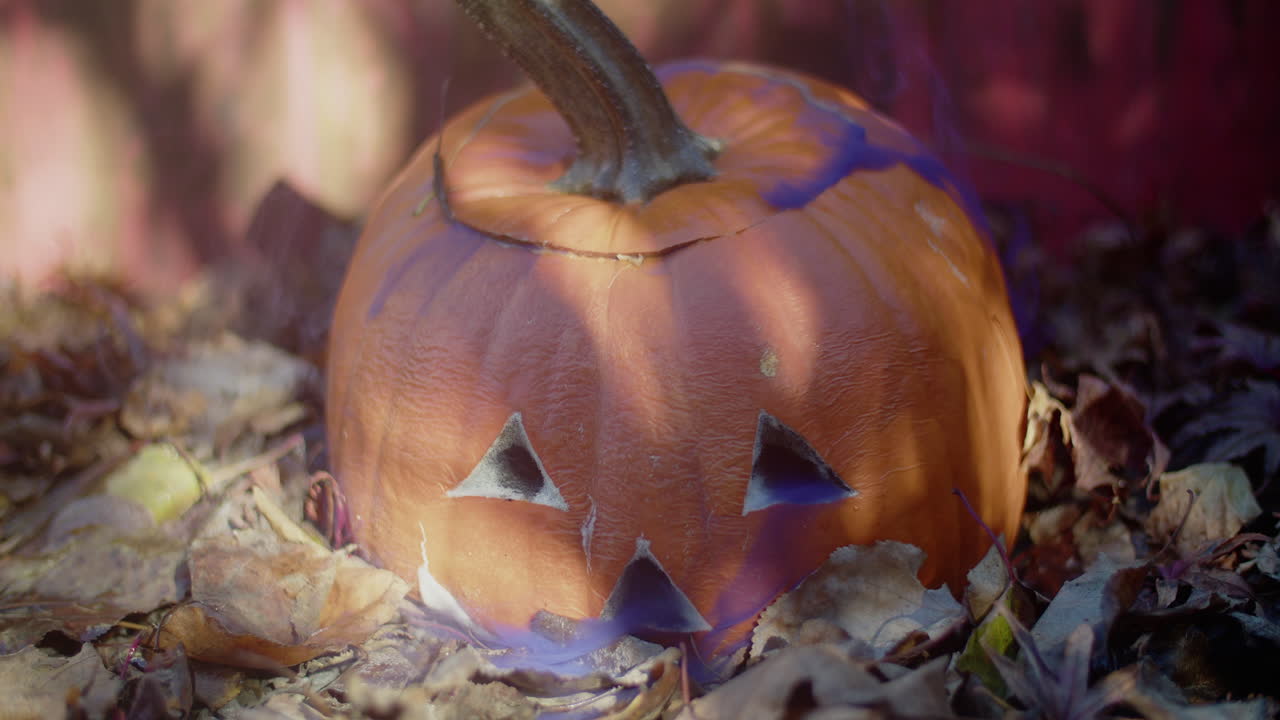 썩은 할로윈 잭-오-랜턴, 최소한의 희미한 보라색 연기가 상단과 얼굴에서 흘러나옴