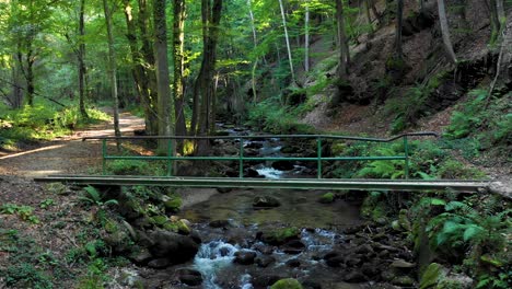 mountain river flowing over rocks and boulders in forest, bistriski vintgar gorge on pohorje, slovenia, hiking and outdoor tourism landmark, ecology clean water concept, natural resources, 4k pan