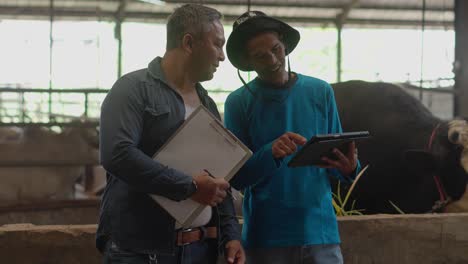 two asian farmers working in a cowshed with a digital tablet and clipboard