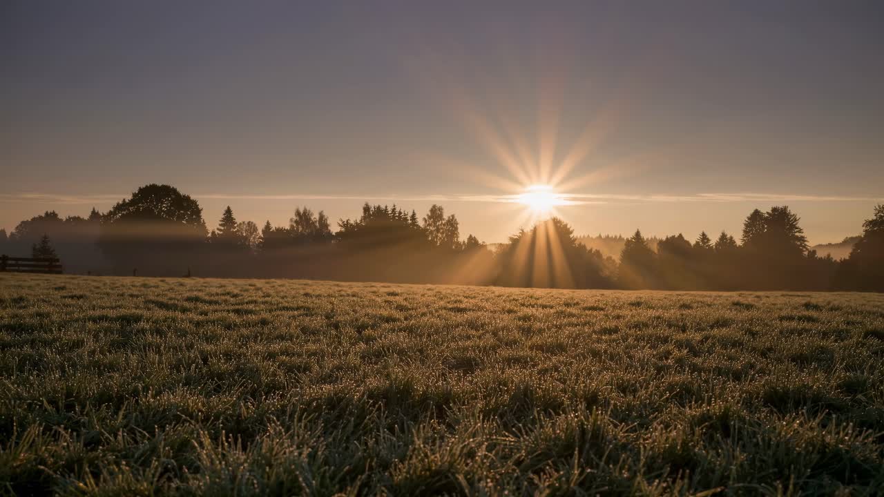 A serene landscape video scene at dawn, captured from a low angle, showcasing misty fields