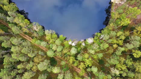 top-down aerial view of devil's lake with clear sky reflection and dense forest