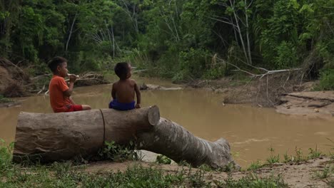 two brazilian village boys sit on a log at the river