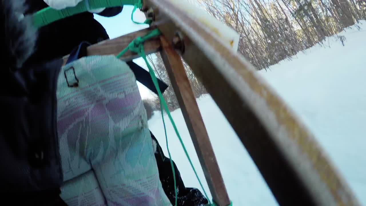 primer plano de un musher montando un trineo