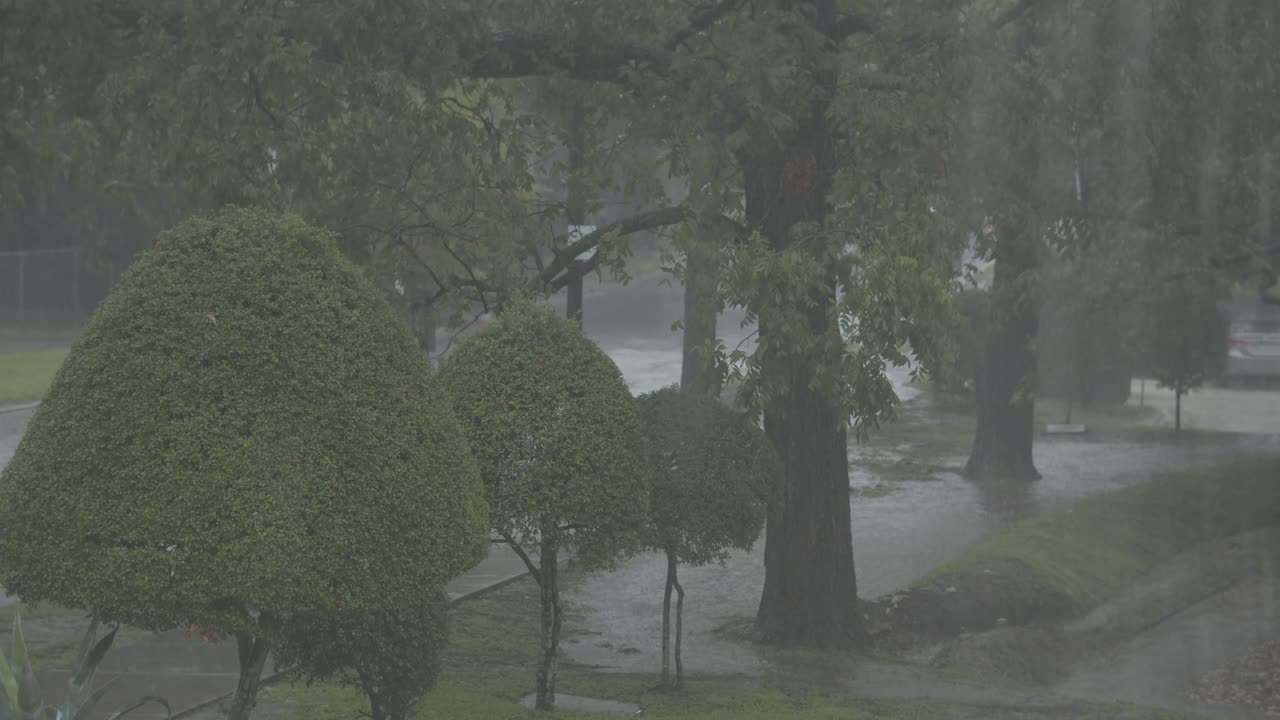 비가 내리기 시작하고 홍수가 시작됩니다.