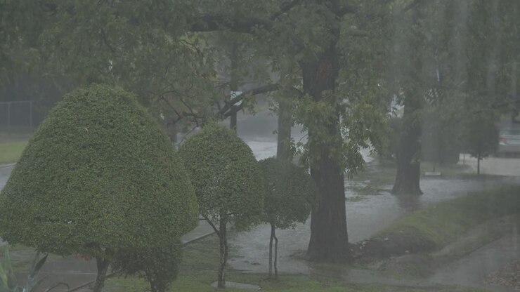Pouring rain starts to flood