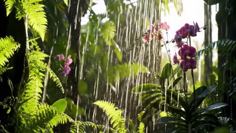 a tranquil rain shower creating a refreshing atmosphere among vibrant orchids and lush greenery in a serene tropical garden setting