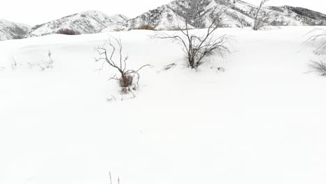 slow hide of snow covered mountains