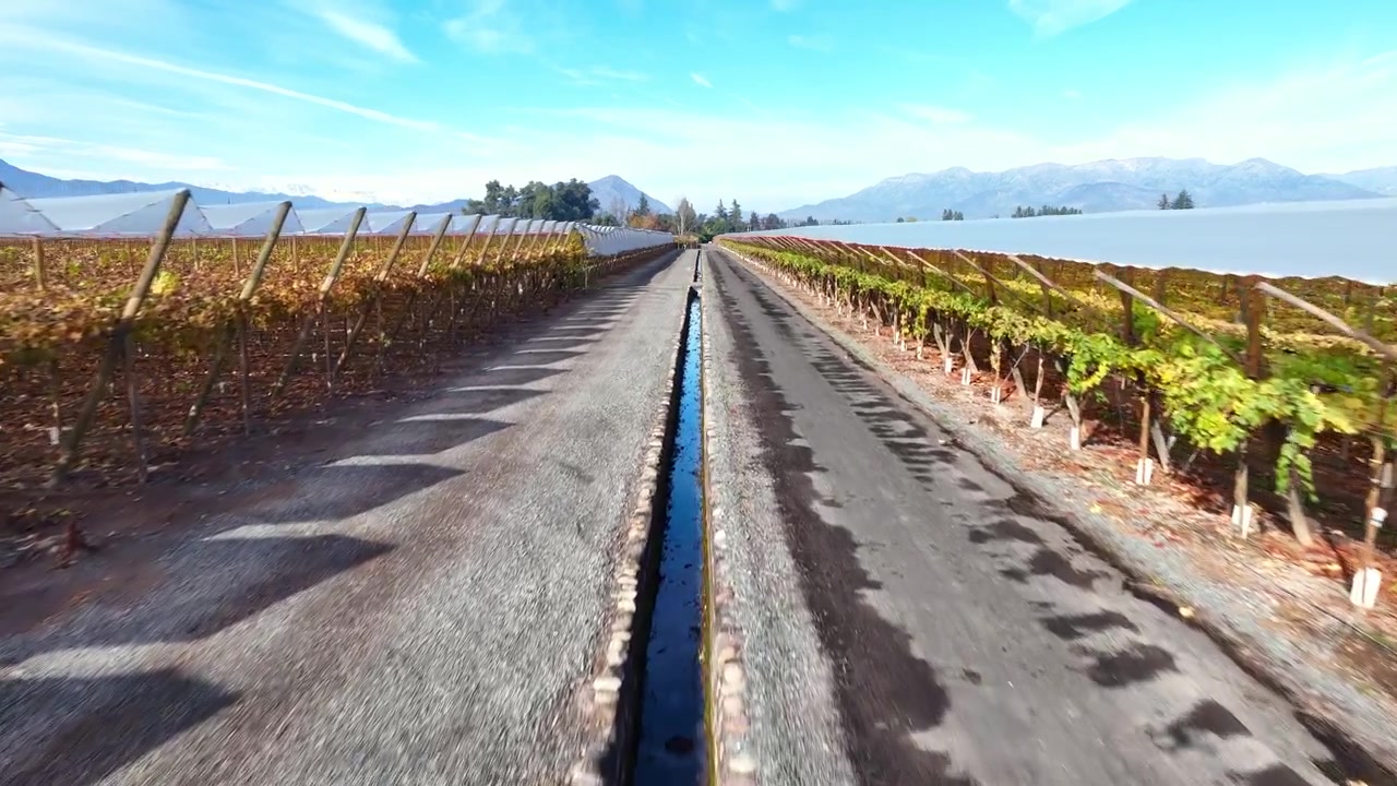 Volo basso in avanti lungo una strada rurale di campagna fiancheggiata da filari di vigneti autunnali e un canale di irrigazione che convergono verso le cime andine innevate sotto un cielo azzurro e limpido