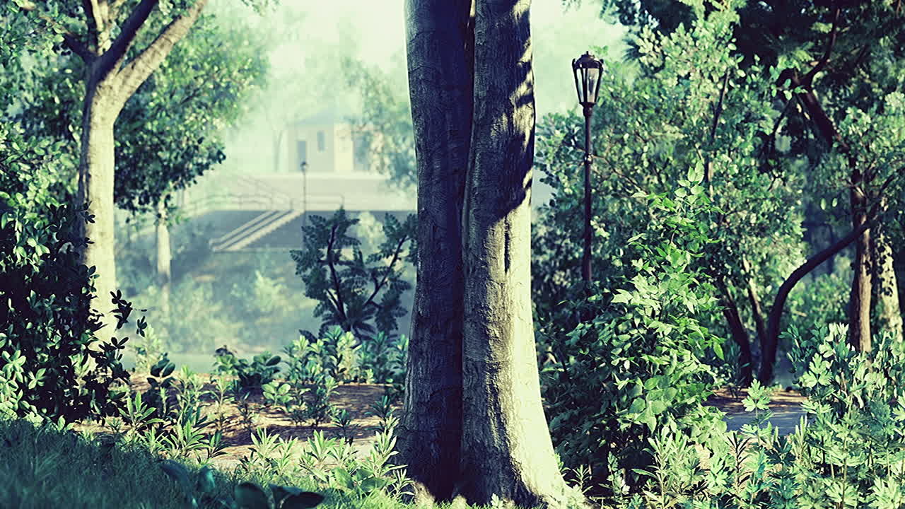 Lush forest landscape enveloped in morning mist near a tranquil pathway