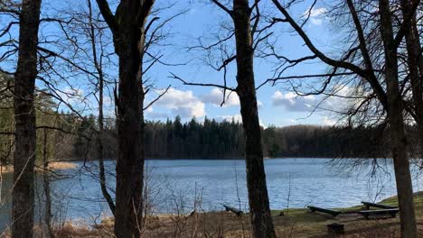 wonderful forest for camping near peaceful lake under the bright blue cloudy sky - time lapse