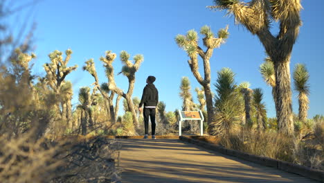 a fit young man on a morning jog workout running until he needs to catch his breath through a desert nature preserve