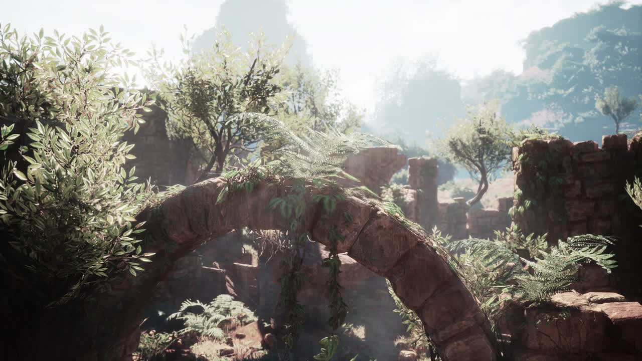 안개가 가득한 풍경 속에 활기찬 식물로 가득 찬 고대 유적