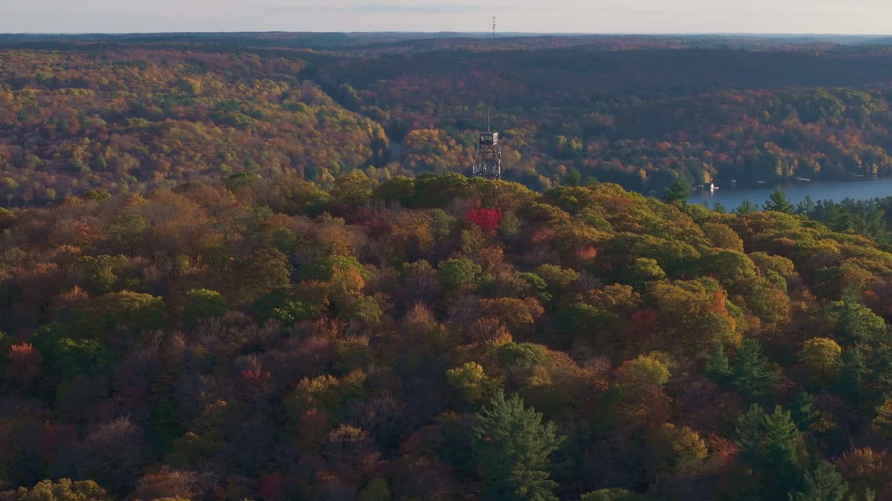 Dorset lookout tower and vibrant fall foliage by a peaceful lake in ontario canada, aerial view