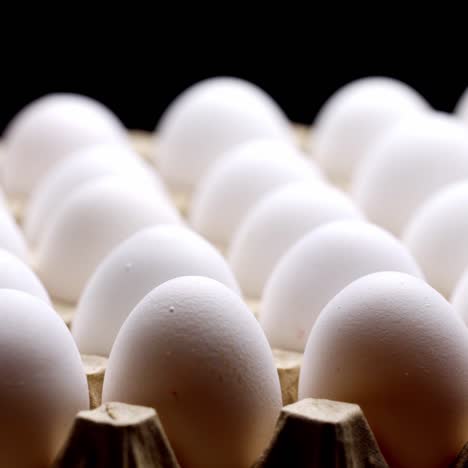 white chicken eggs. chicken eggs in the container