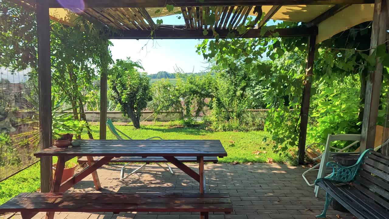 이태리 쿠네오의 평화로운 포도원 풍경