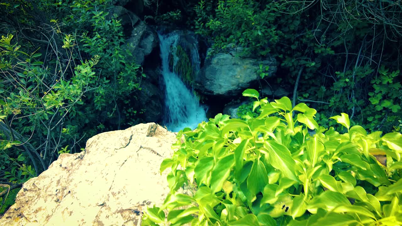 muy hermosa cascada con la luz del sol que pasa a través de las hojas de los árboles en argelia