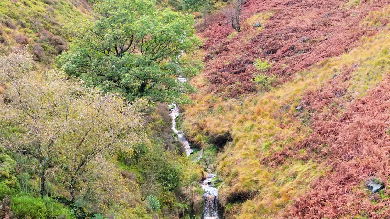 느리게 움직이는 모어랜드 하천은 페닌 모어에서 부드럽게 흐르고, 작은 폭포, 강 및 헤더 인 계곡과 함께 항공 드론 비디오