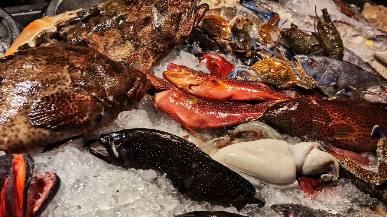 Fresh fish assortment on ice at a seafood market in Egypt showcasing vibrant colors